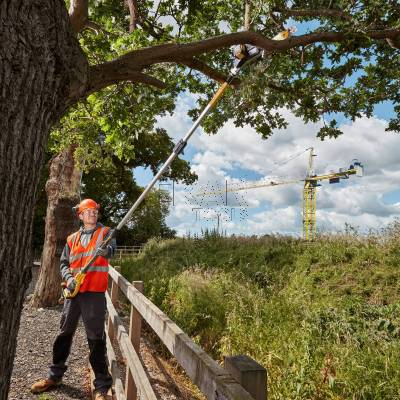 Pilarka łańcuchowa na wysięgniku DeWalt DCMPS567N 18V 20cm 4,5m - zdjęcie nr 4