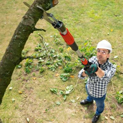 Nożyce teleskopowe do gałęzi BOSCH AdvancedPrune 18V-45 06008C5002 - zdjęcie nr 4