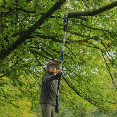 Akumulatorowa teleskopowa piła do gałęzi na wysięgniku BOSCH GKE 18V-25 TP 06008D6000 - zdjęcie nr 4