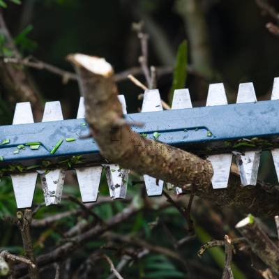 NOŻYCE akumulatorowe DO ŻYWOPŁOTU Bosch GHE 18V-60 (II) 06008C9400 - zdjęcie nr 4